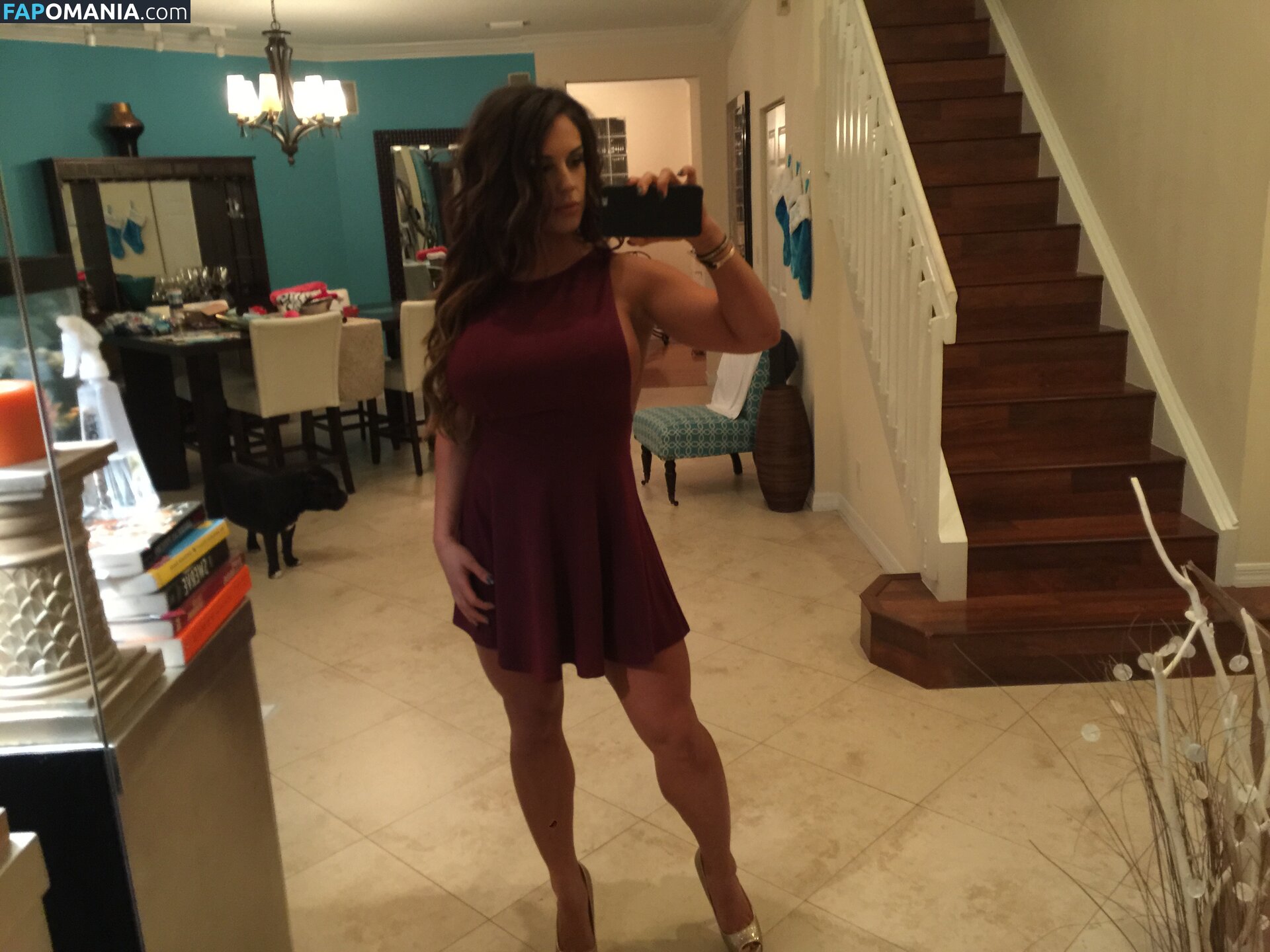 Kaitlyn WWE Nackt Geleaktes Foto #35