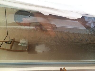 Lara Bingle