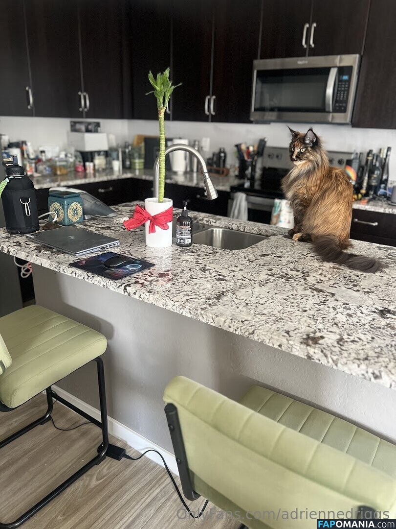 adrienne.driggs / adriennedriggs Nackt OnlyFans  Geleaktes Foto #9