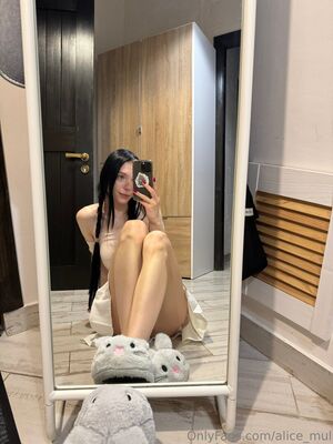 alice_mul
