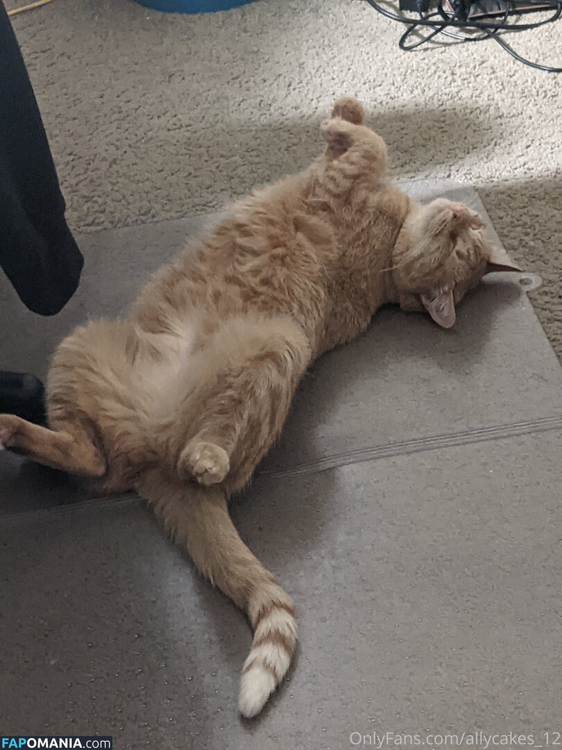 allycakes_12 Nackt OnlyFans  Geleaktes Foto #3