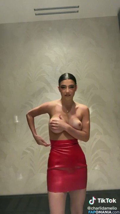 Charli D'Amelio / Charli Damelio / charlidamelio / charliesdamelio Nackt OnlyFans  Geleaktes Foto #72