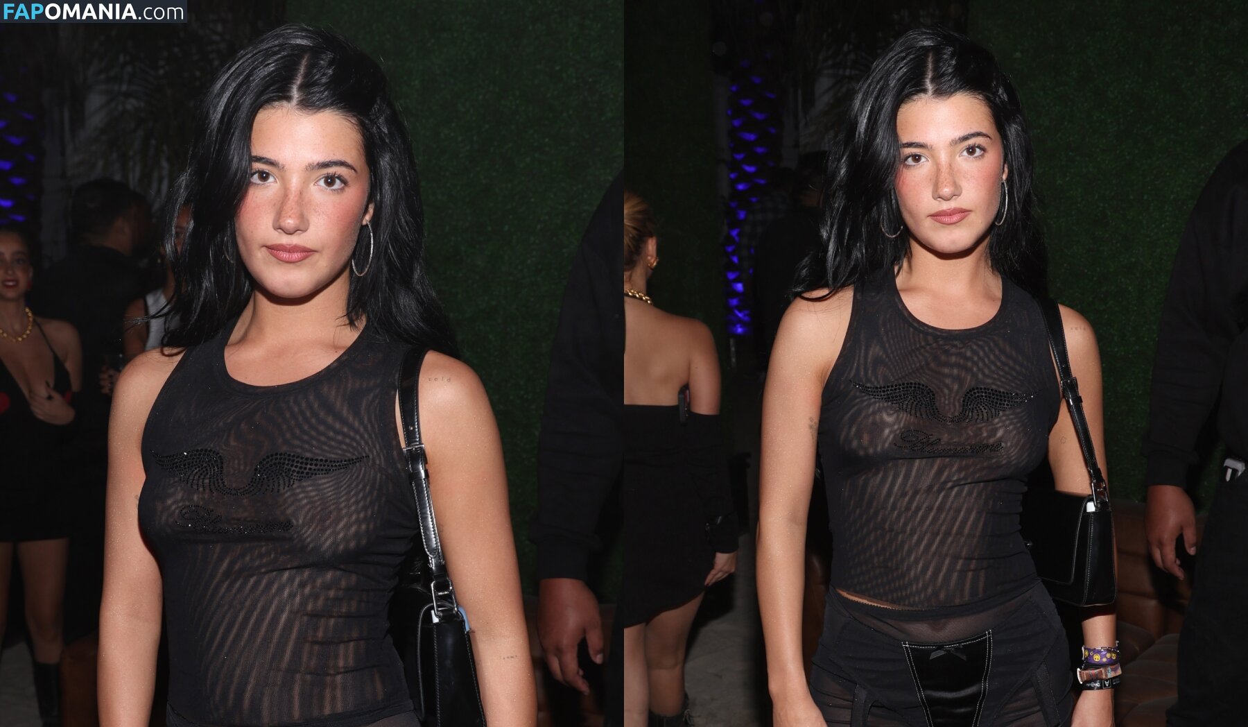 Charli D'Amelio / Charli Damelio / charlidamelio / charliesdamelio Nackt OnlyFans  Geleaktes Foto #1550