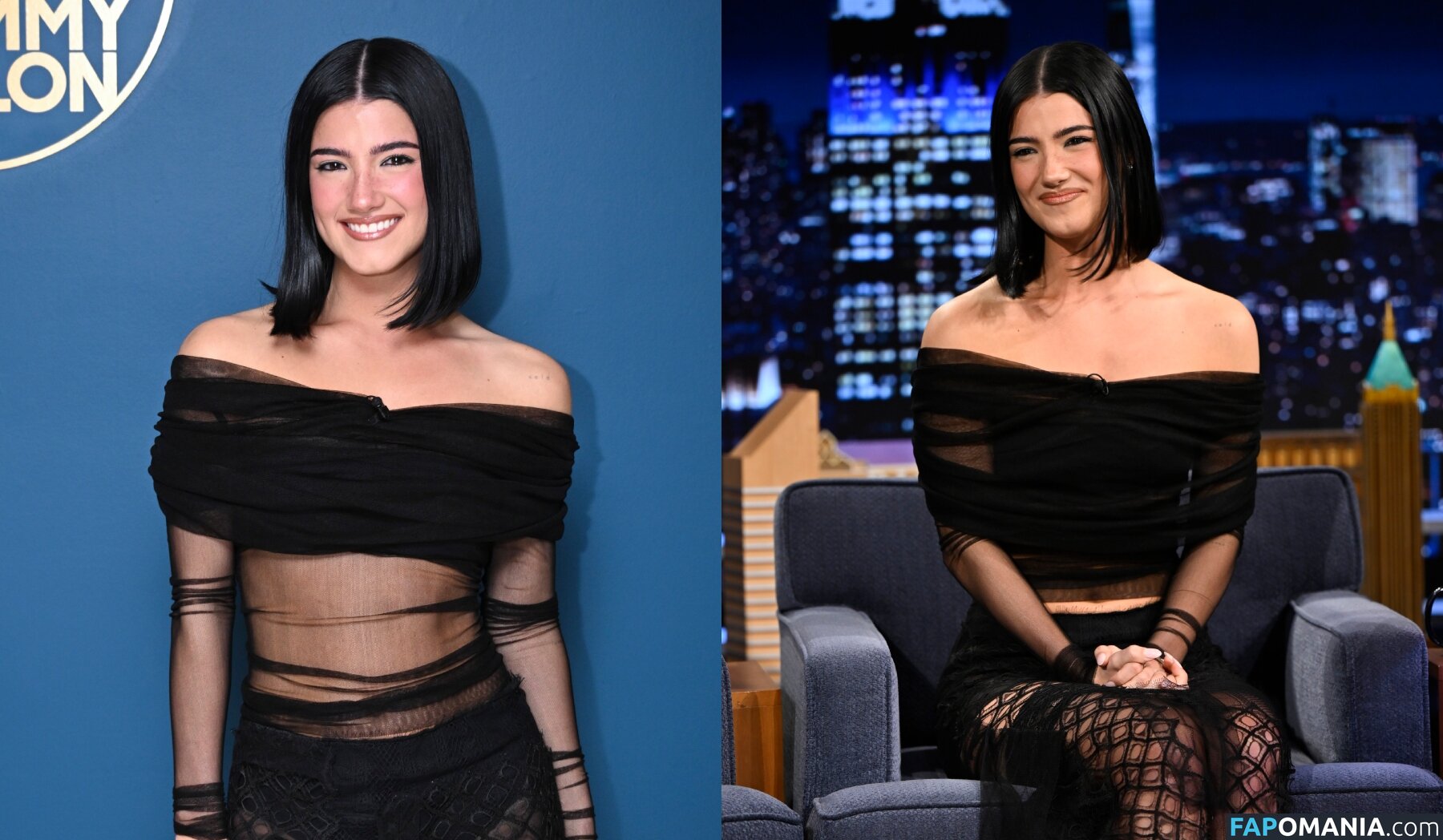 Charli D'Amelio / Charli Damelio / charlidamelio / charliesdamelio Nackt OnlyFans  Geleaktes Foto #1560