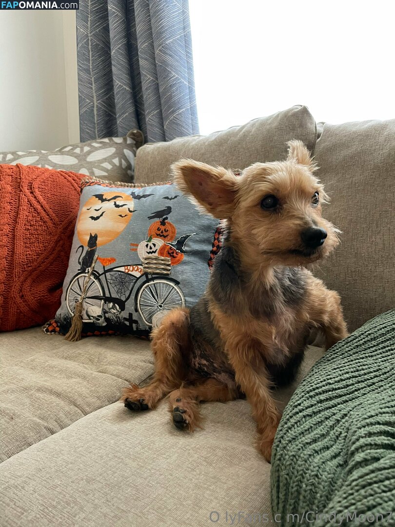 cindymoon007 / cindymoon7 Nackt OnlyFans  Geleaktes Foto #280