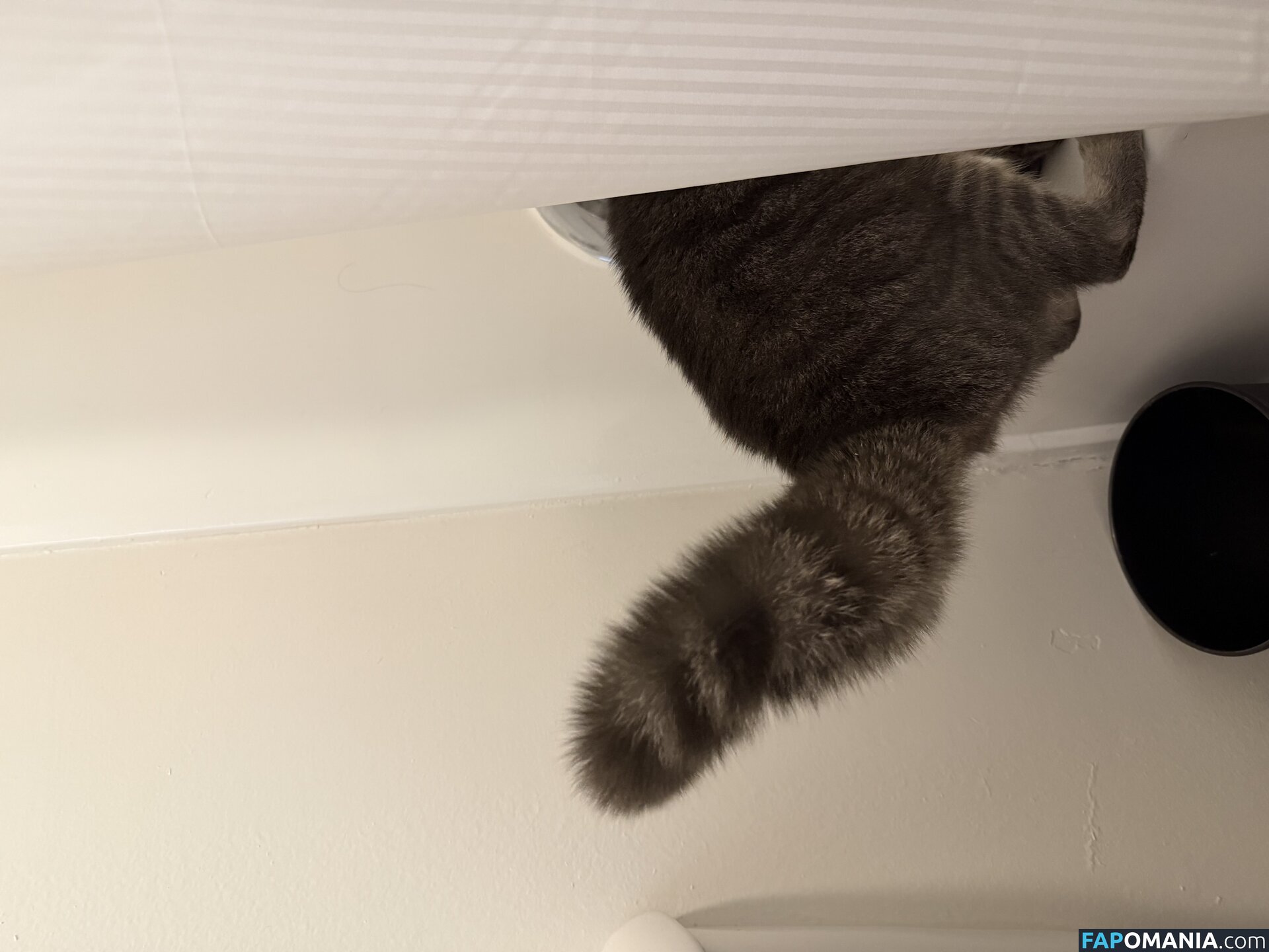 dahniks / dahnikz Nackt OnlyFans  Geleaktes Foto #15