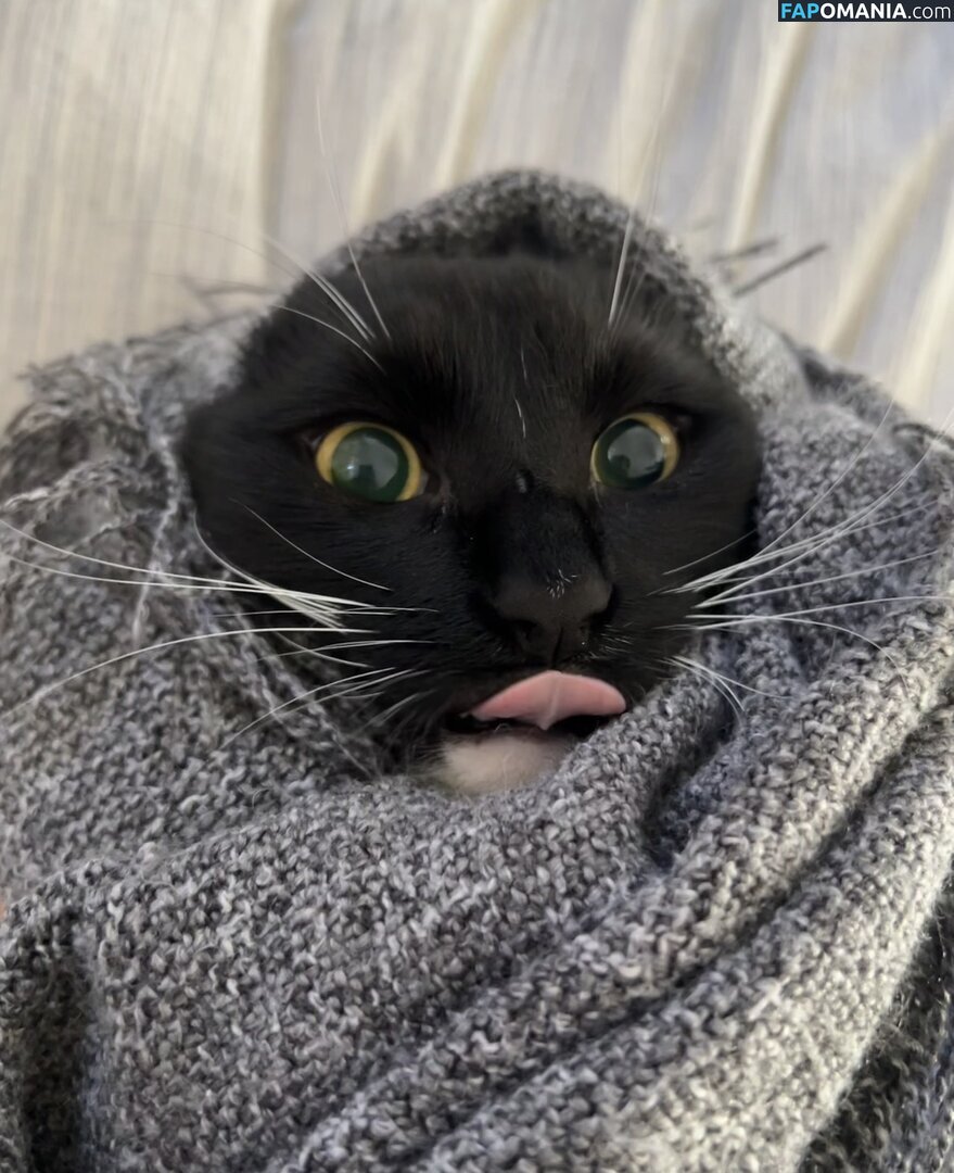 dahniks / dahnikz Nackt OnlyFans  Geleaktes Foto #19