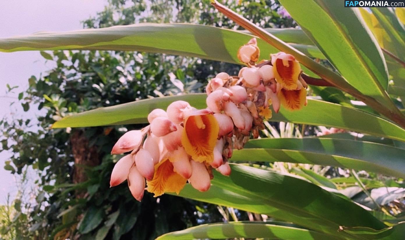 Erin Ashford / erinashford / erincaity Nackt OnlyFans  Geleaktes Foto #11