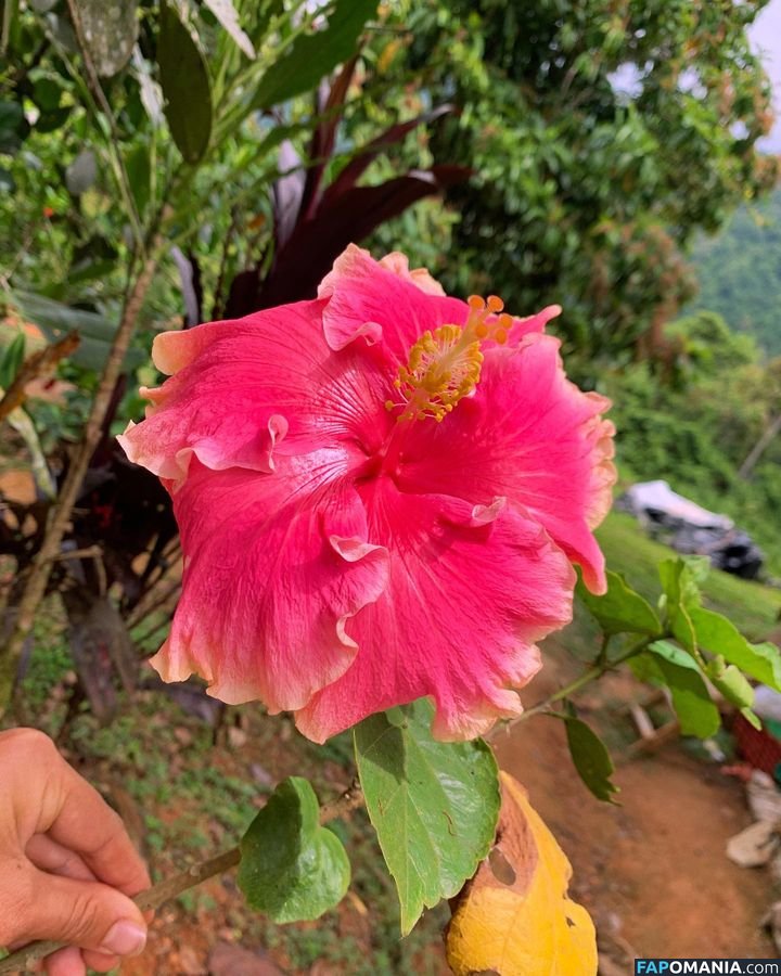 Erin Ashford / erinashford / erincaity Nackt OnlyFans  Geleaktes Foto #26