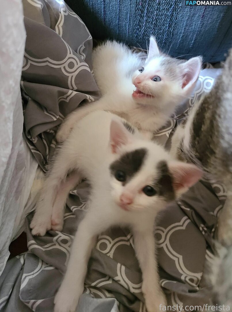 Freista / Tittykona / _mofreitas Nackt OnlyFans  Geleaktes Foto #16