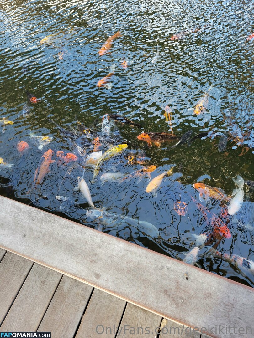 geekikitten / geekykittenxo Nackt OnlyFans  Geleaktes Foto #4