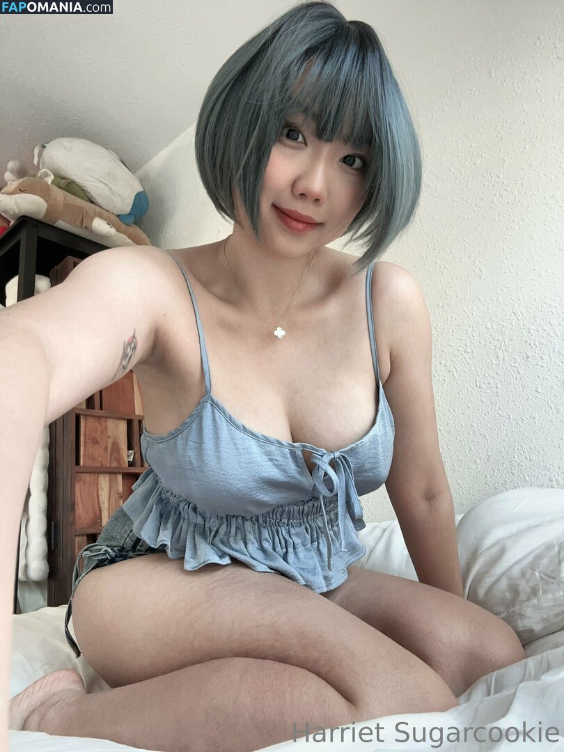 HSugarCookie / Harriet Sugarcookie / harrietsugarcookie / iamharrietsugarcookie Nackt OnlyFans  Geleaktes Foto #85
