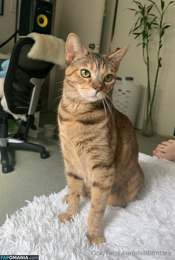 hiiibentley Nackt OnlyFans  Geleaktes Foto #5