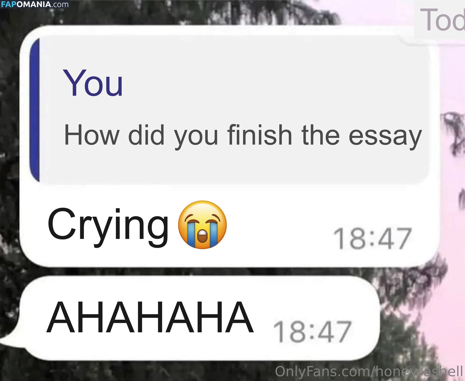 honeyrashell / honeyrashelll Nackt OnlyFans  Geleaktes Foto #12