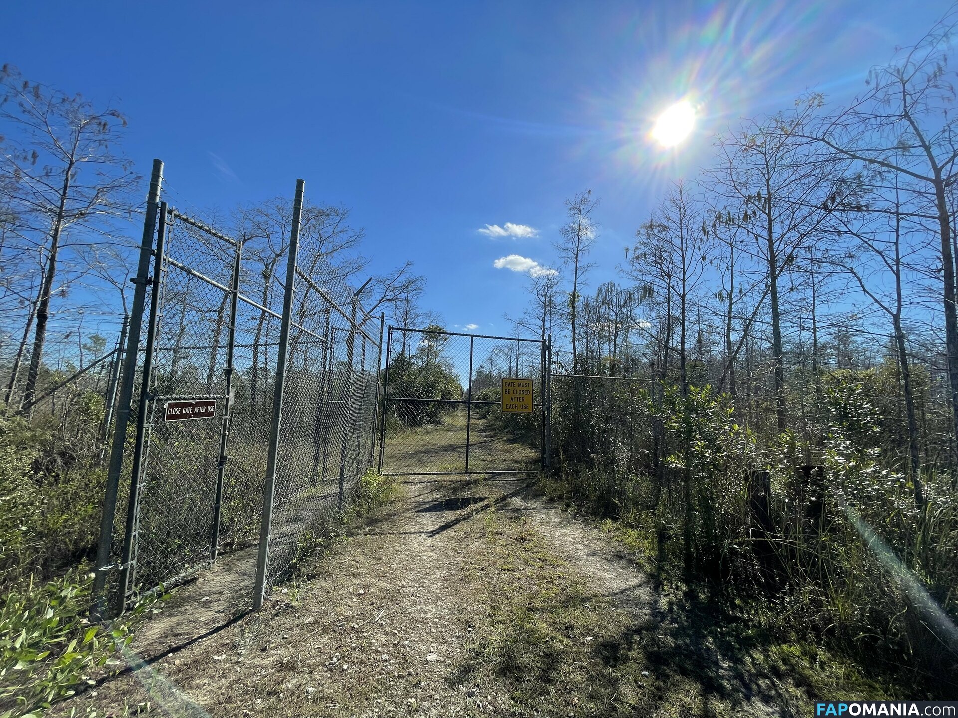 debiiworks / iambigduch Nackt OnlyFans  Geleaktes Foto #59