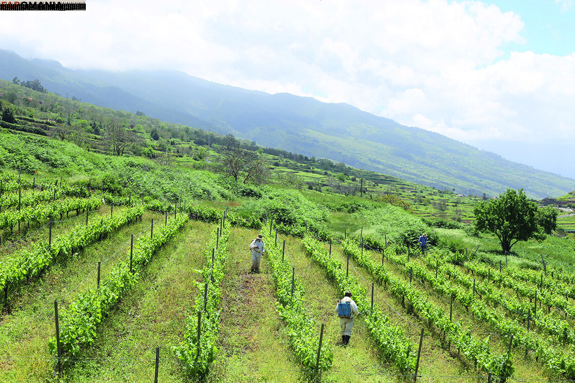 julia_lyn Nackt OnlyFans  Geleaktes Foto #10