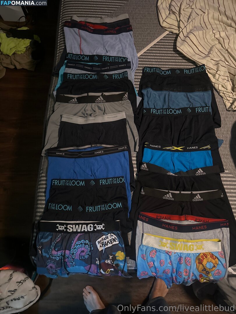 livealittlebud Nackt OnlyFans  Geleaktes Foto #1
