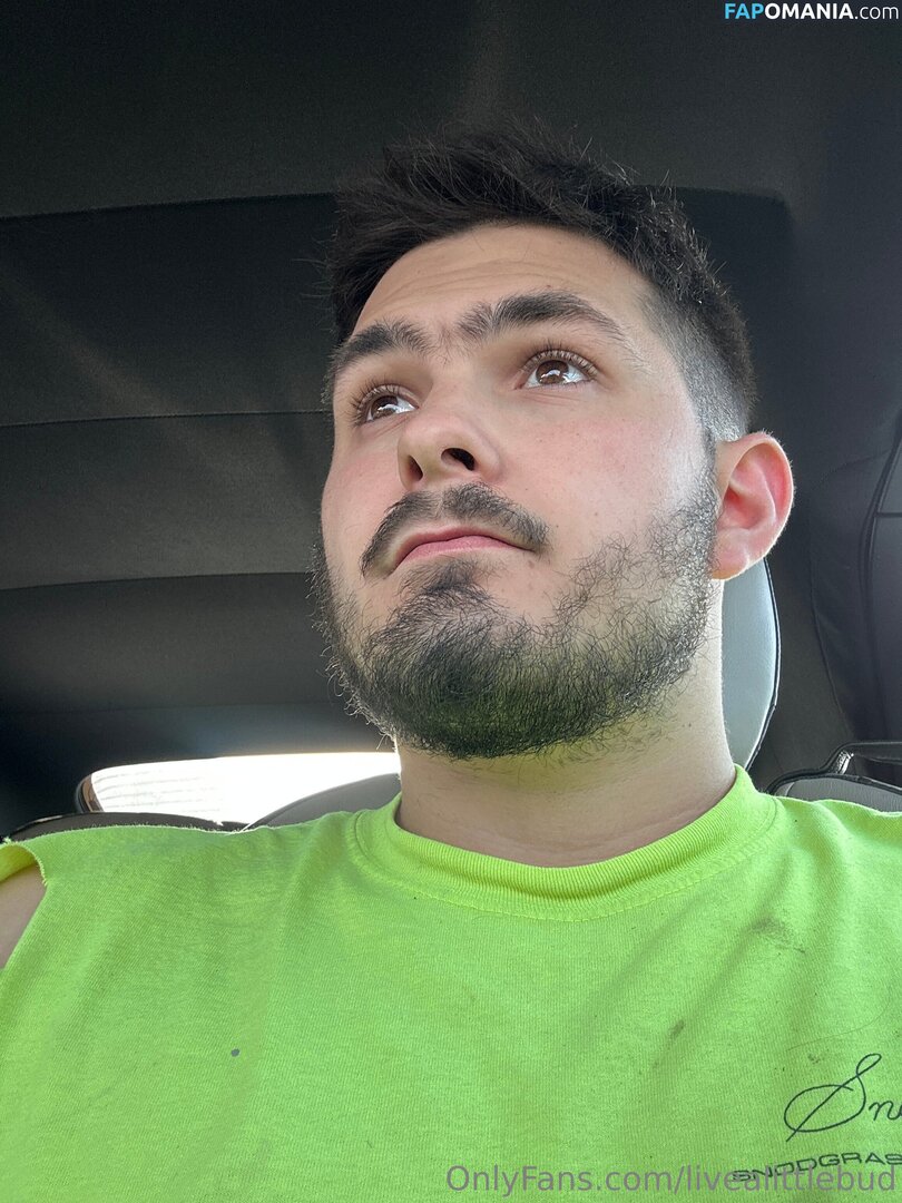 livealittlebud Nackt OnlyFans  Geleaktes Foto #5