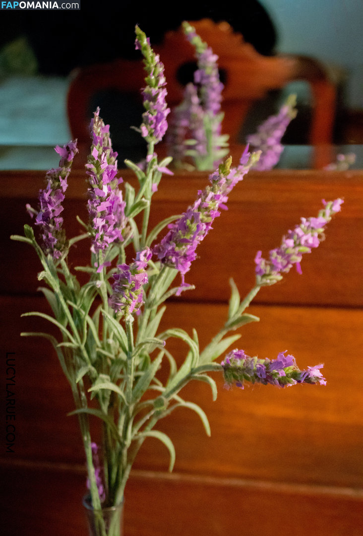 lucylarue / lucylaruesdailystyle Nackt OnlyFans  Geleaktes Foto #37