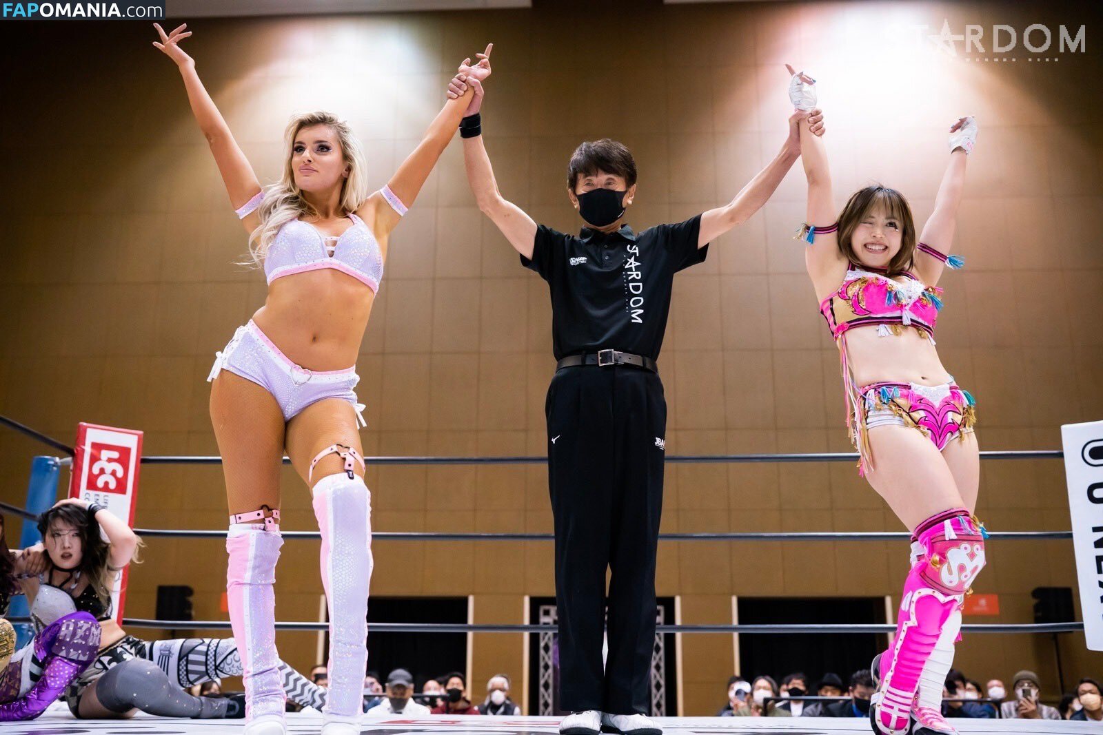 Mina Shirakawa / mina_shirakawa Nackt OnlyFans  Geleaktes Foto #1122