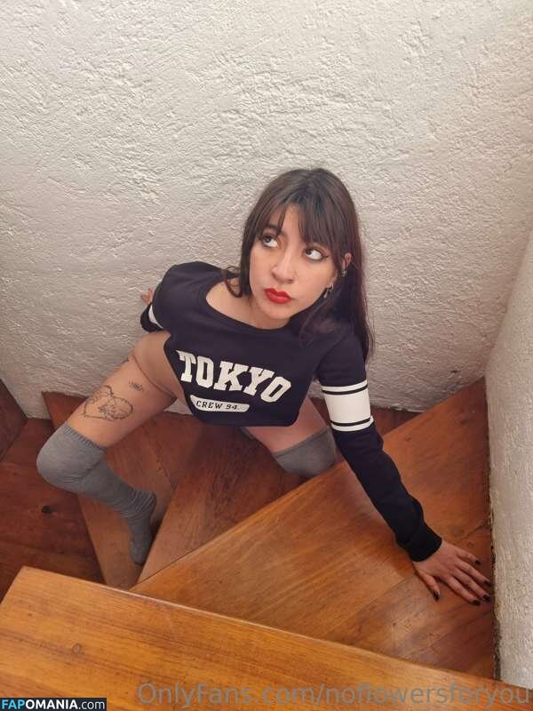 NoFlowers4You / NoFlowersForYou / NoFlowersForYou... / NoFlowersForYou_ / assets / https: / noflowersforu Nackt OnlyFans  Geleaktes Foto #11