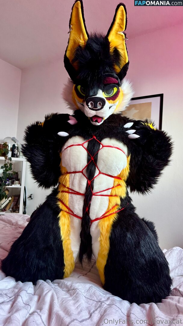 novaxcat / novaxxcat Nackt OnlyFans  Geleaktes Foto #1
