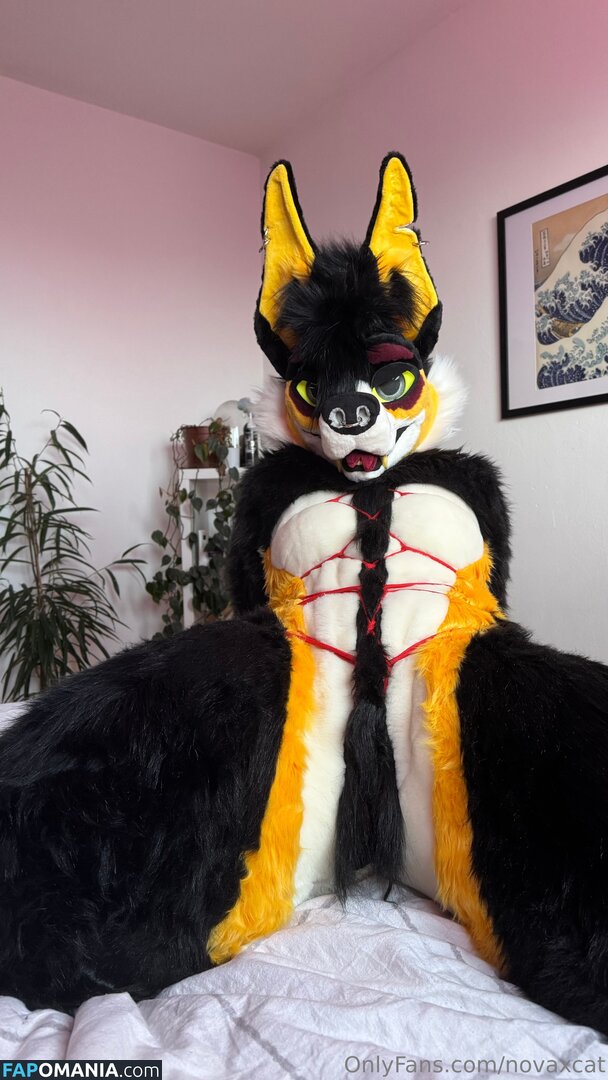 novaxcat / novaxxcat Nackt OnlyFans  Geleaktes Foto #3