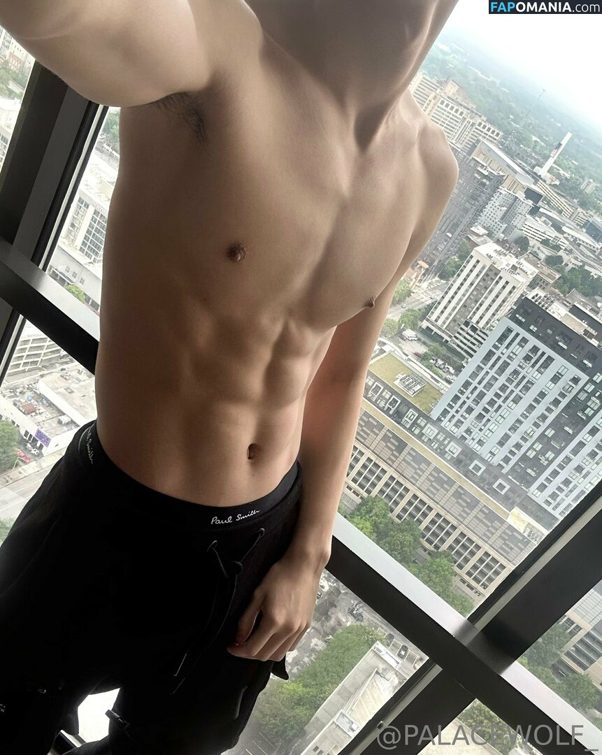 palacewolf / palacewolfent Nackt OnlyFans  Geleaktes Foto #4