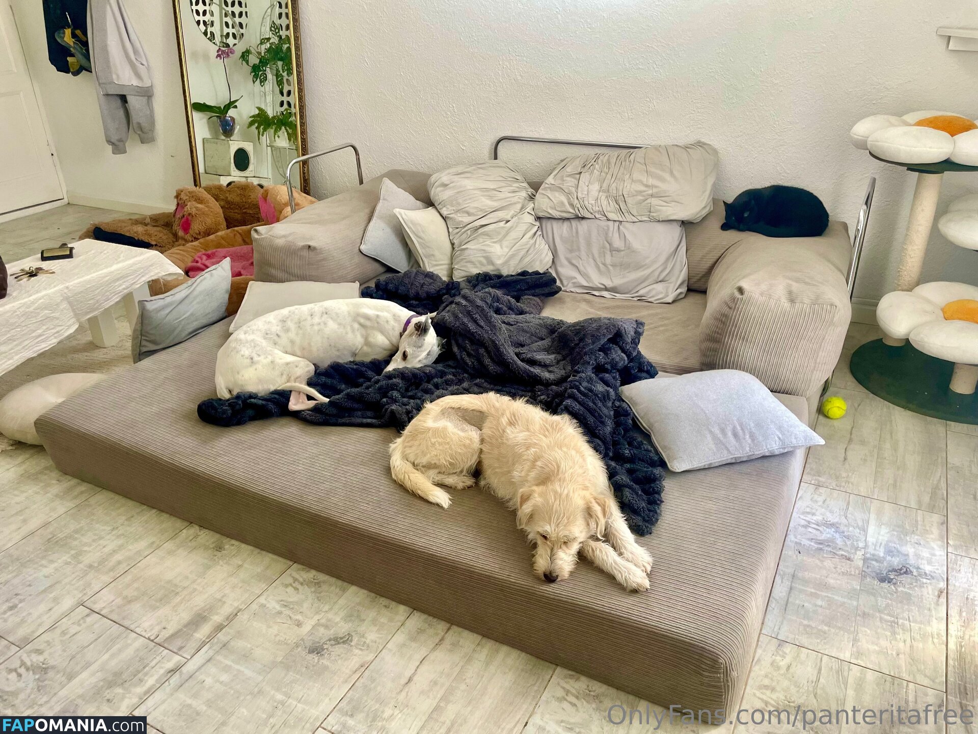 panteritafree Nackt OnlyFans  Geleaktes Foto #6