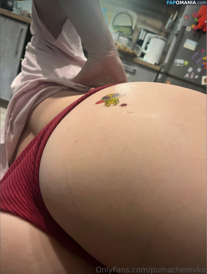 Margarita / Puma Cherevko / pumacherevko Nackt OnlyFans  Geleaktes Foto #17