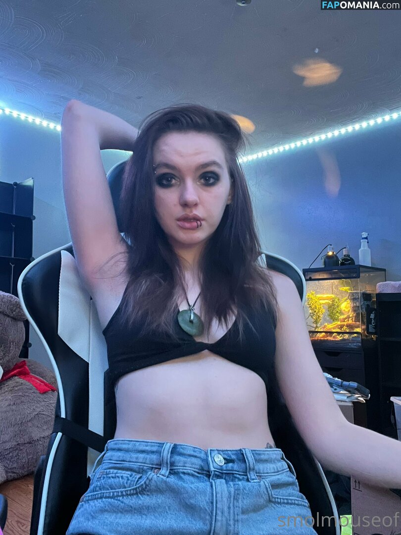 smolmouse8 / smolmouseof Nackt OnlyFans  Geleaktes Foto #46