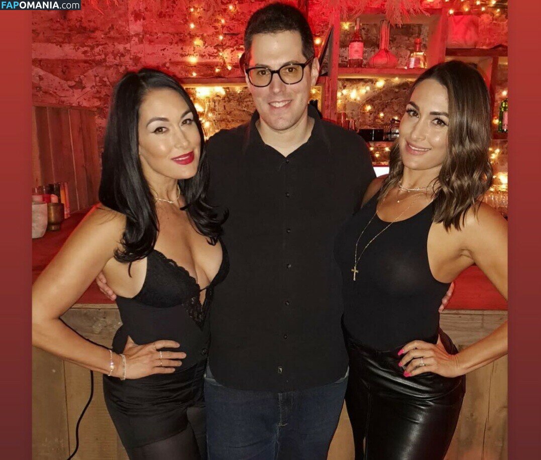 Nikki Bella & Brie Bella / The Bella Twins / thenikkibella Nackt OnlyFans  Geleaktes Foto #202