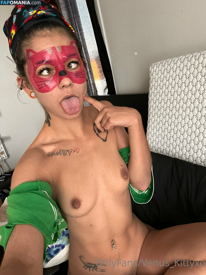 venus_kittyxo / venuskittyxo2.0 Nackt OnlyFans  Geleaktes Foto #244