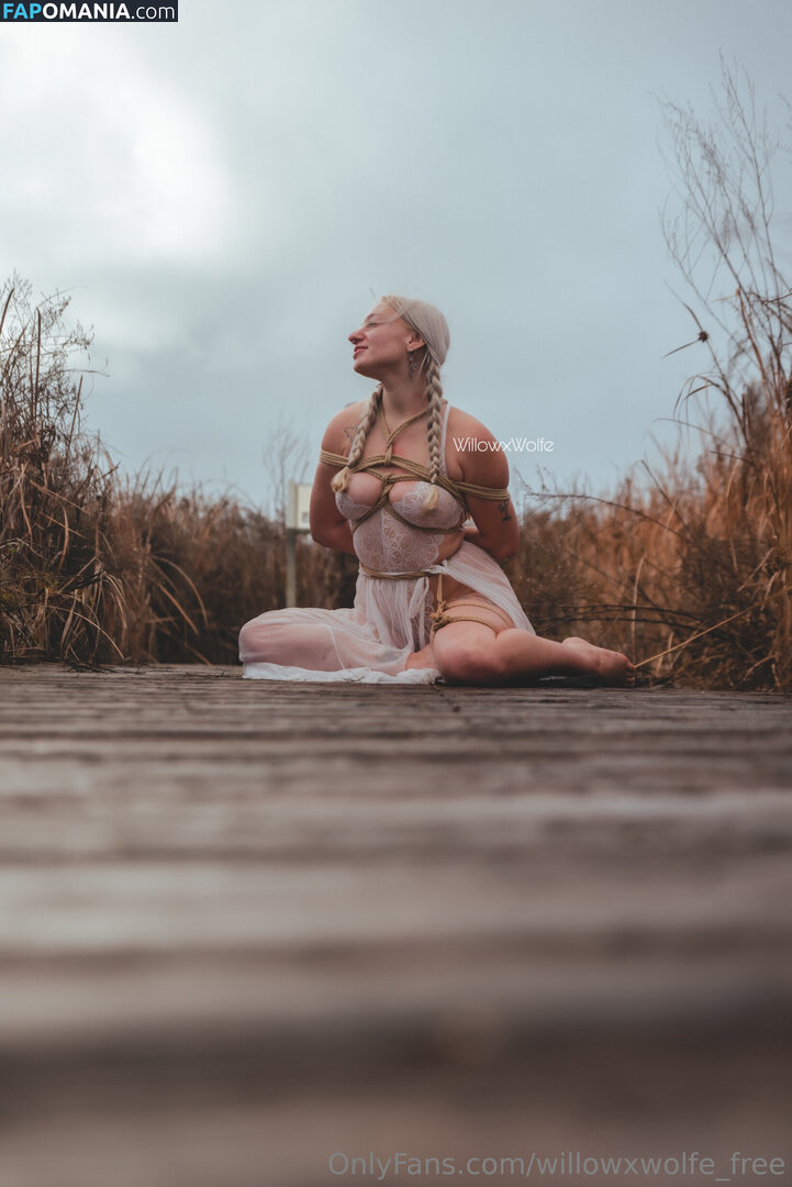 willowxwolfe / willowxwolfe_free Nackt OnlyFans  Geleaktes Foto #11
