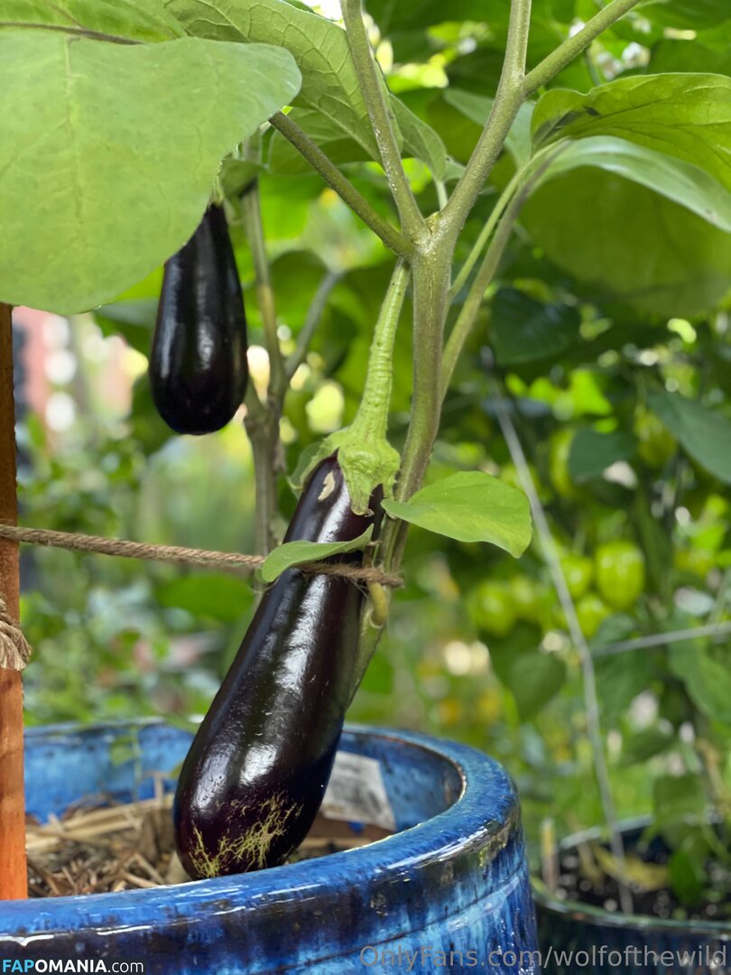 wolfofthewild / wolfofthewildd Nackt OnlyFans  Geleaktes Foto #7