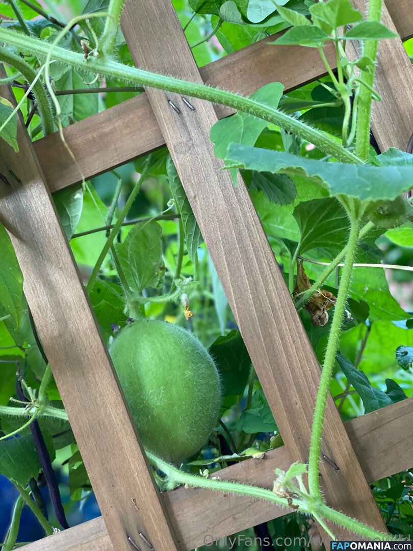 wolfofthewild / wolfofthewildd Nackt OnlyFans  Geleaktes Foto #8