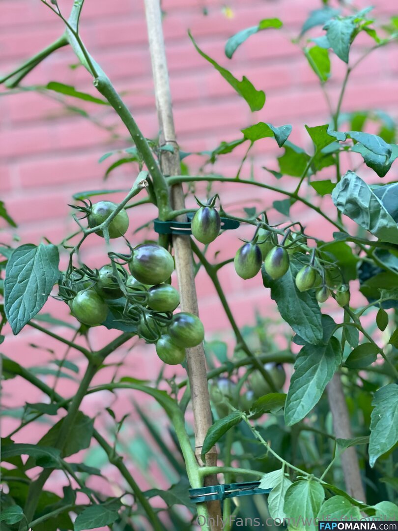 wolfofthewild / wolfofthewildd Nackt OnlyFans  Geleaktes Foto #9