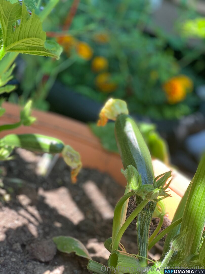 wolfofthewild / wolfofthewildd Nackt OnlyFans  Geleaktes Foto #13