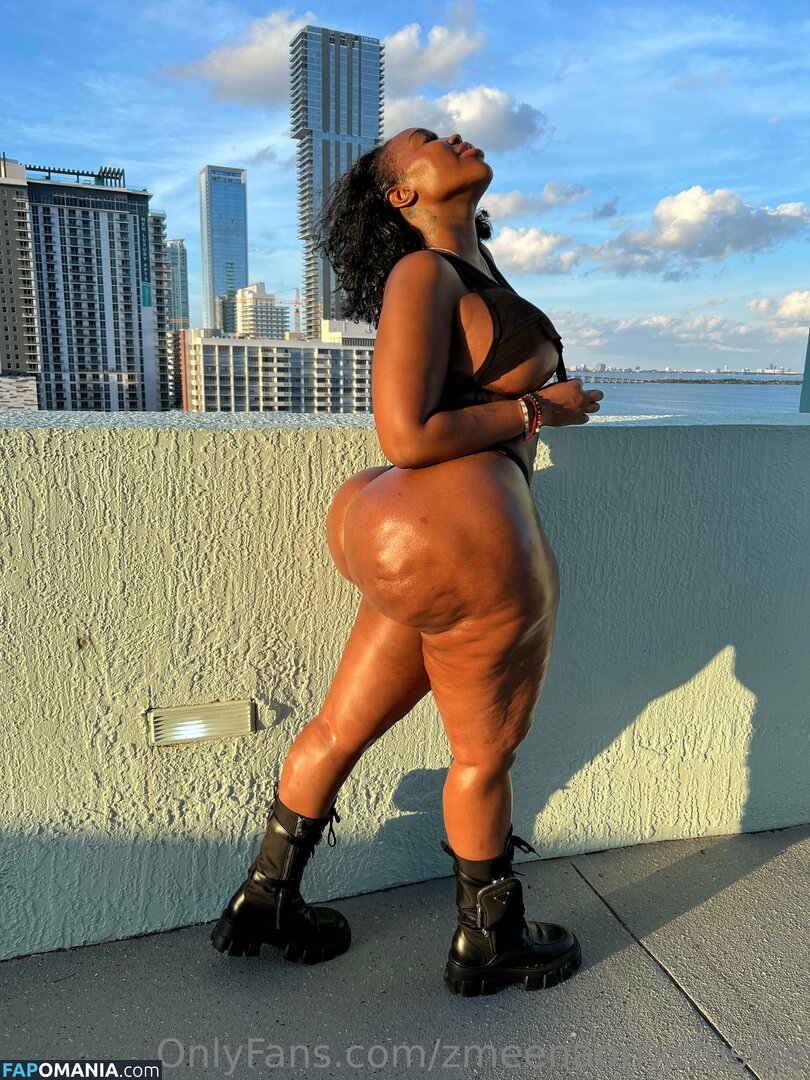 zmeenaorr / zmeenaorrxclusive Nackt OnlyFans  Geleaktes Foto #12
