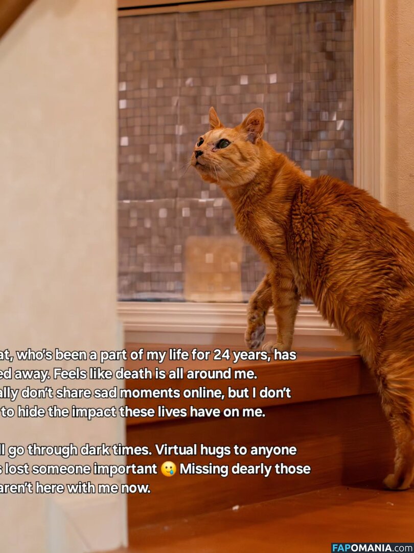 Zumi / zestyzumi Nackt OnlyFans  Geleaktes Foto #120